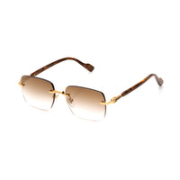 Vision Optik