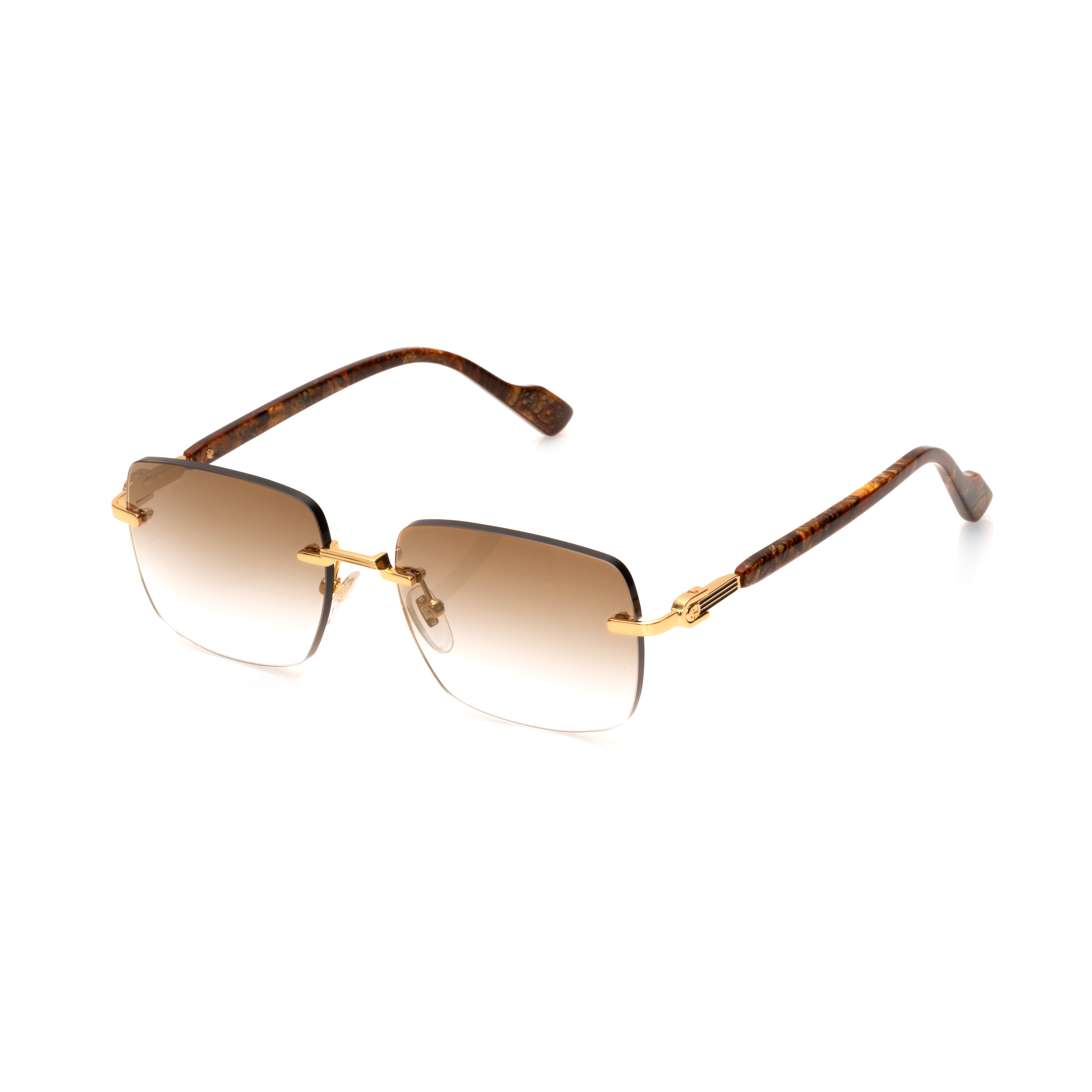 Vision Optik