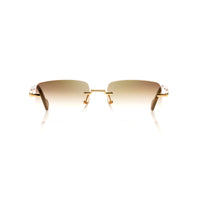 Vision Optik