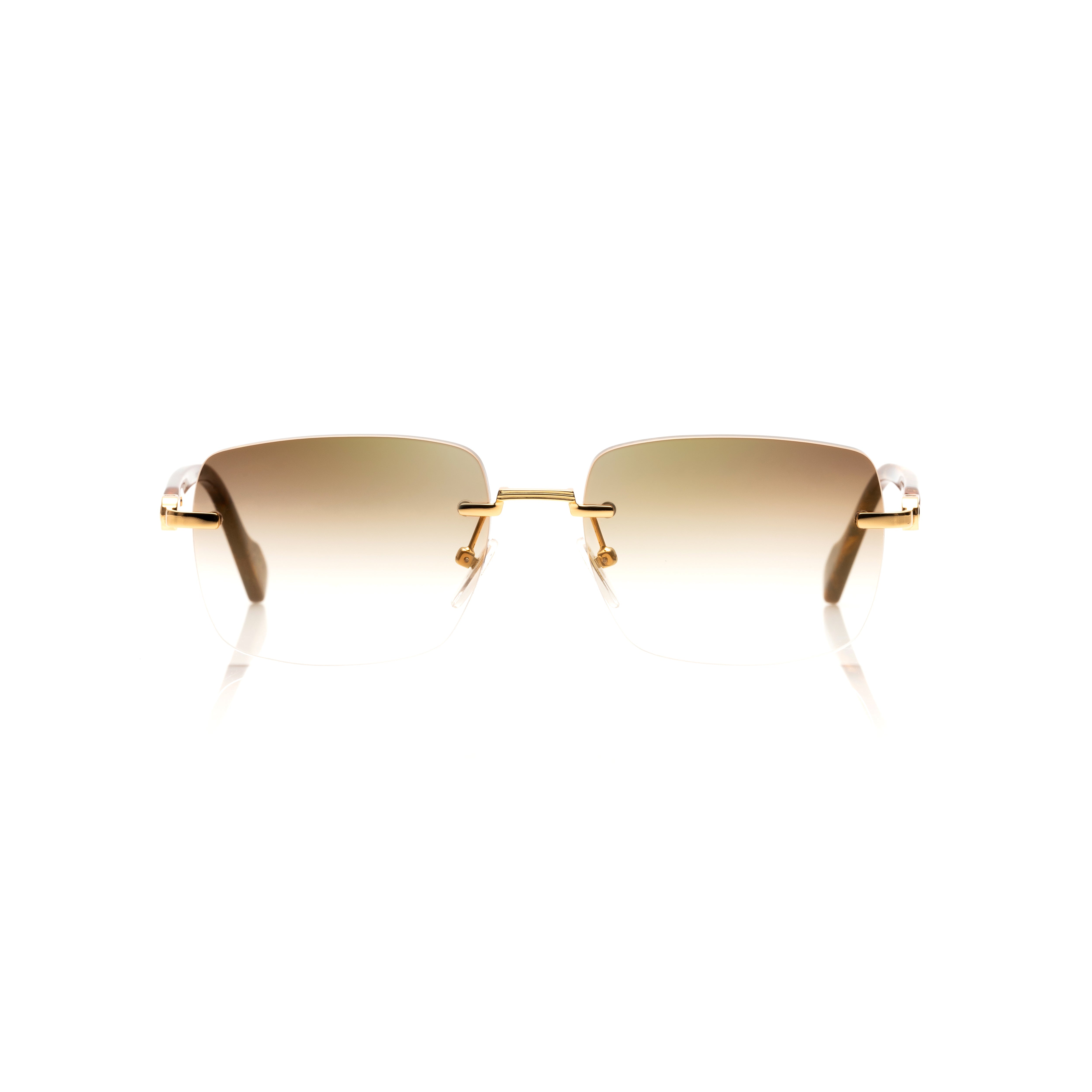Vision Optik