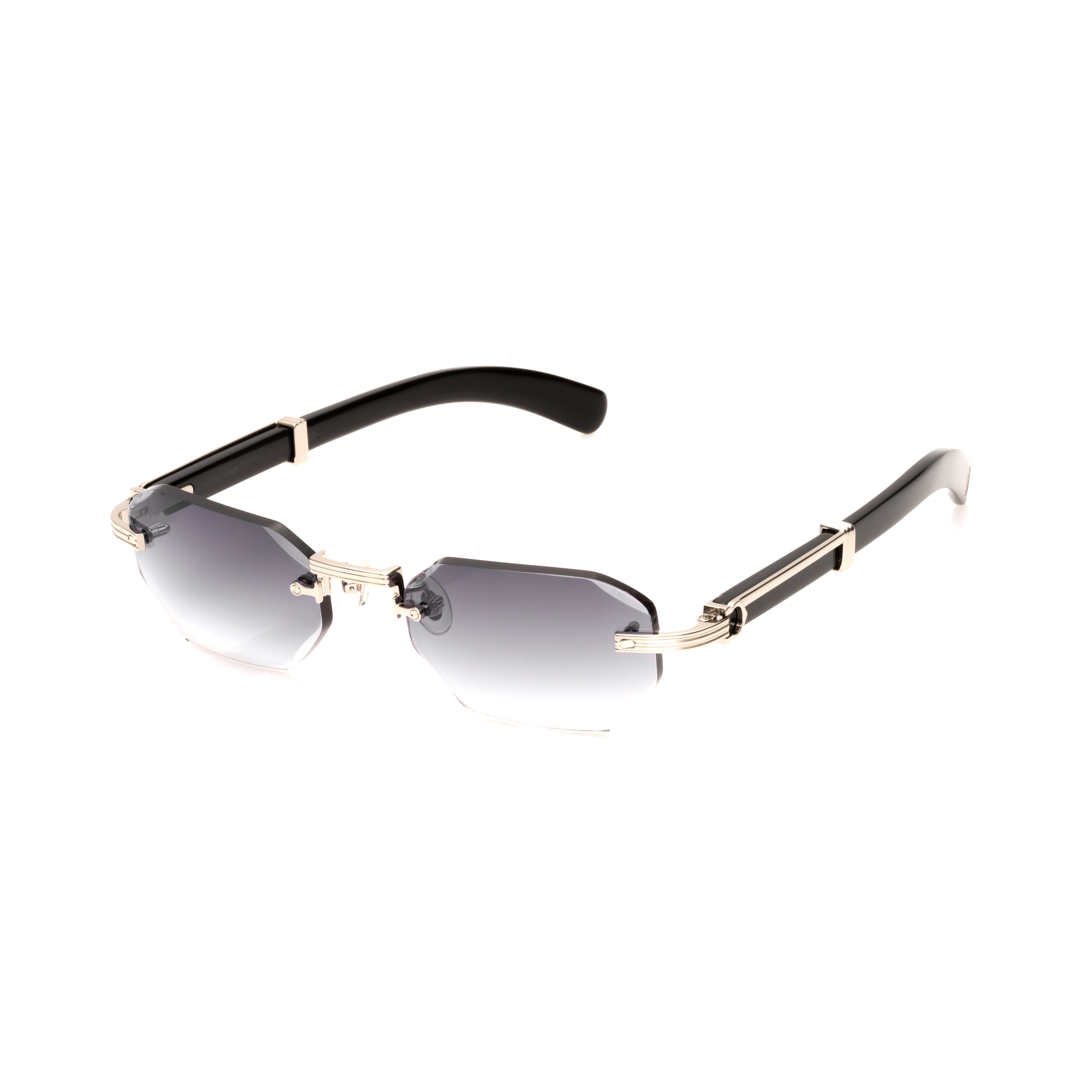 Vision Optik