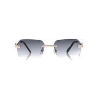 Vision Optik