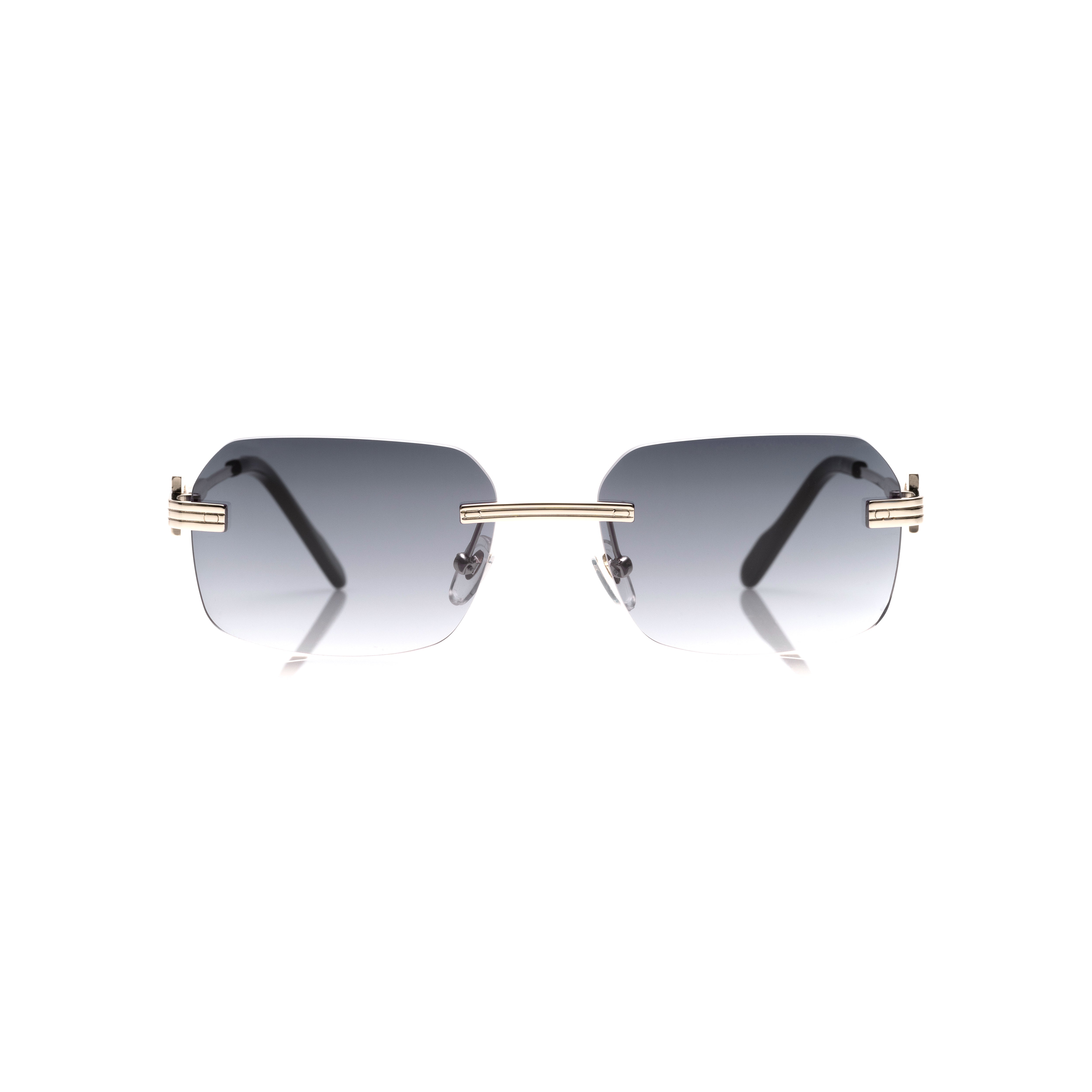 Vision Optik