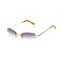Vision Optik
