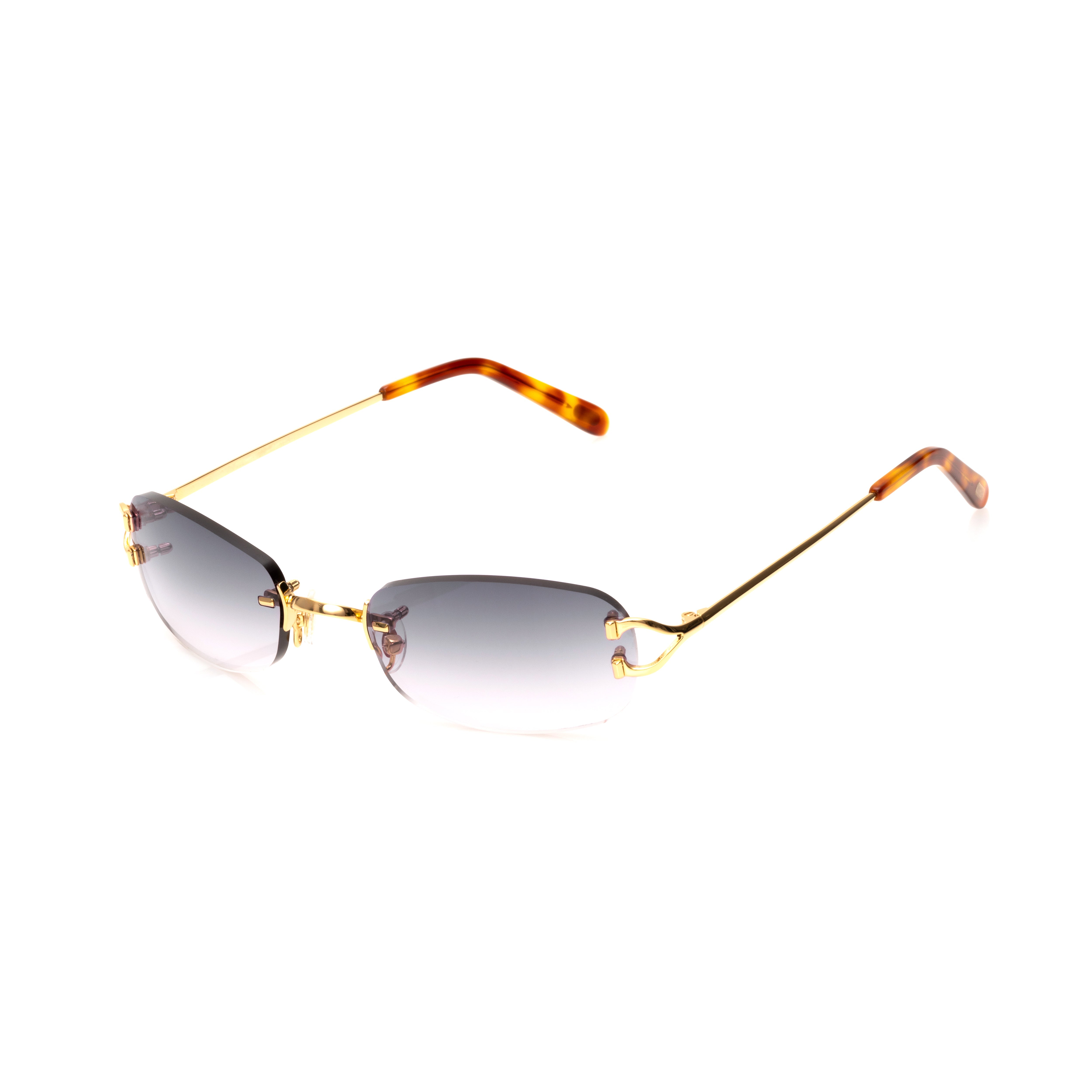 Vision Optik