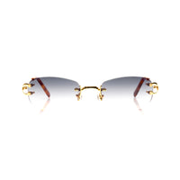 Vision Optik