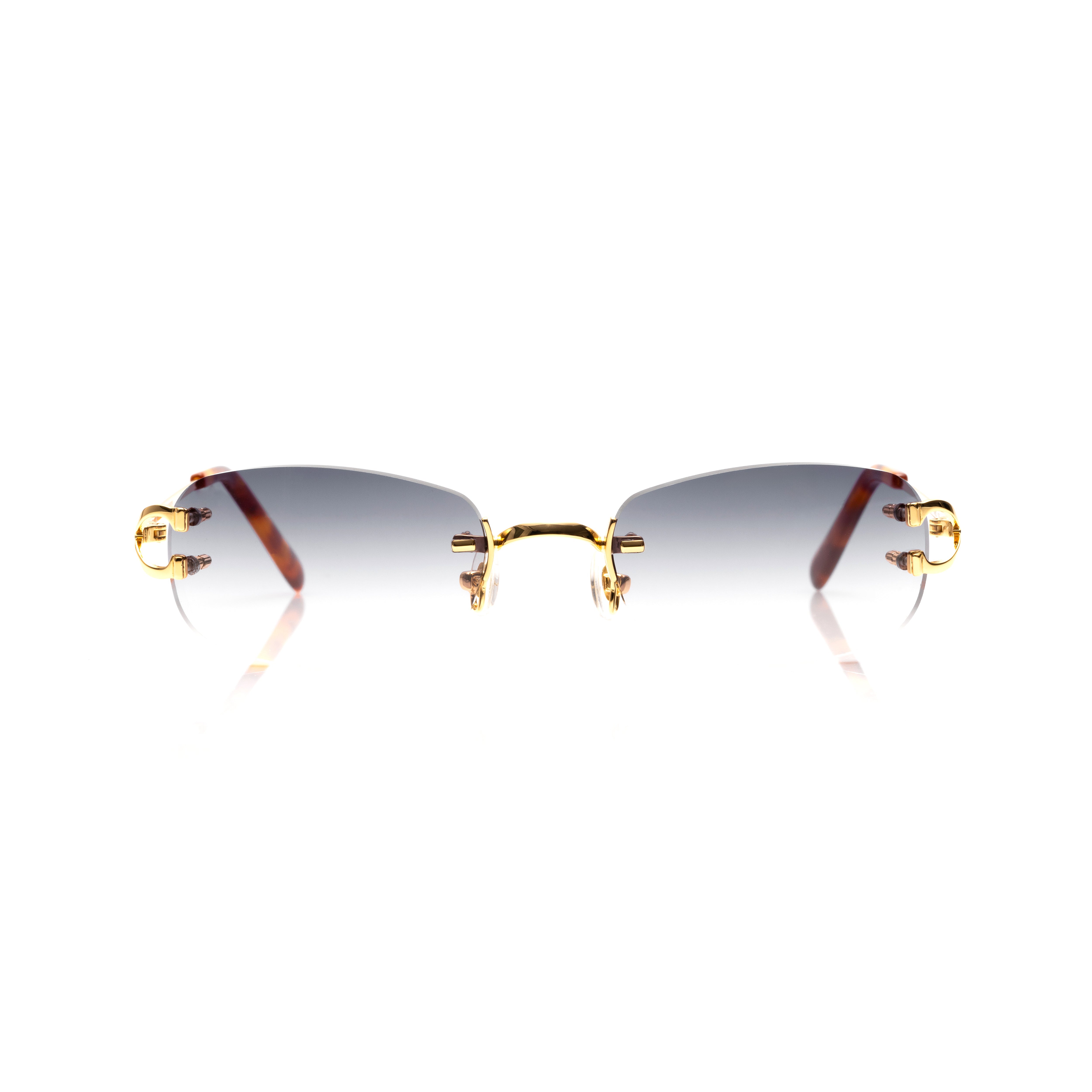 Vision Optik