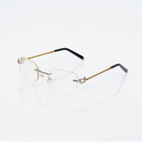 Vision Optik