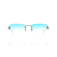Vision Optik