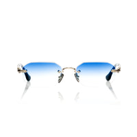 Vision Optik