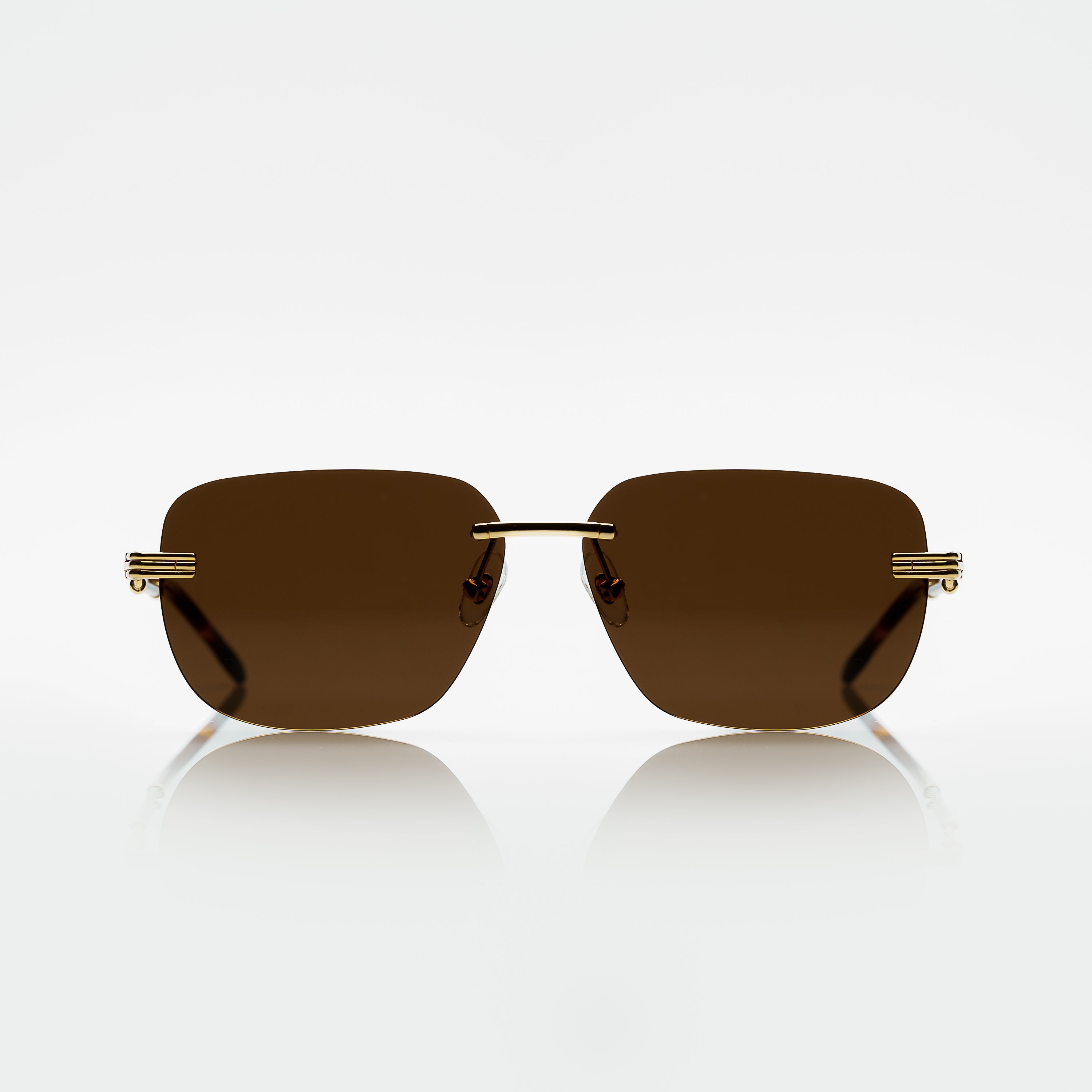 Vision Optik