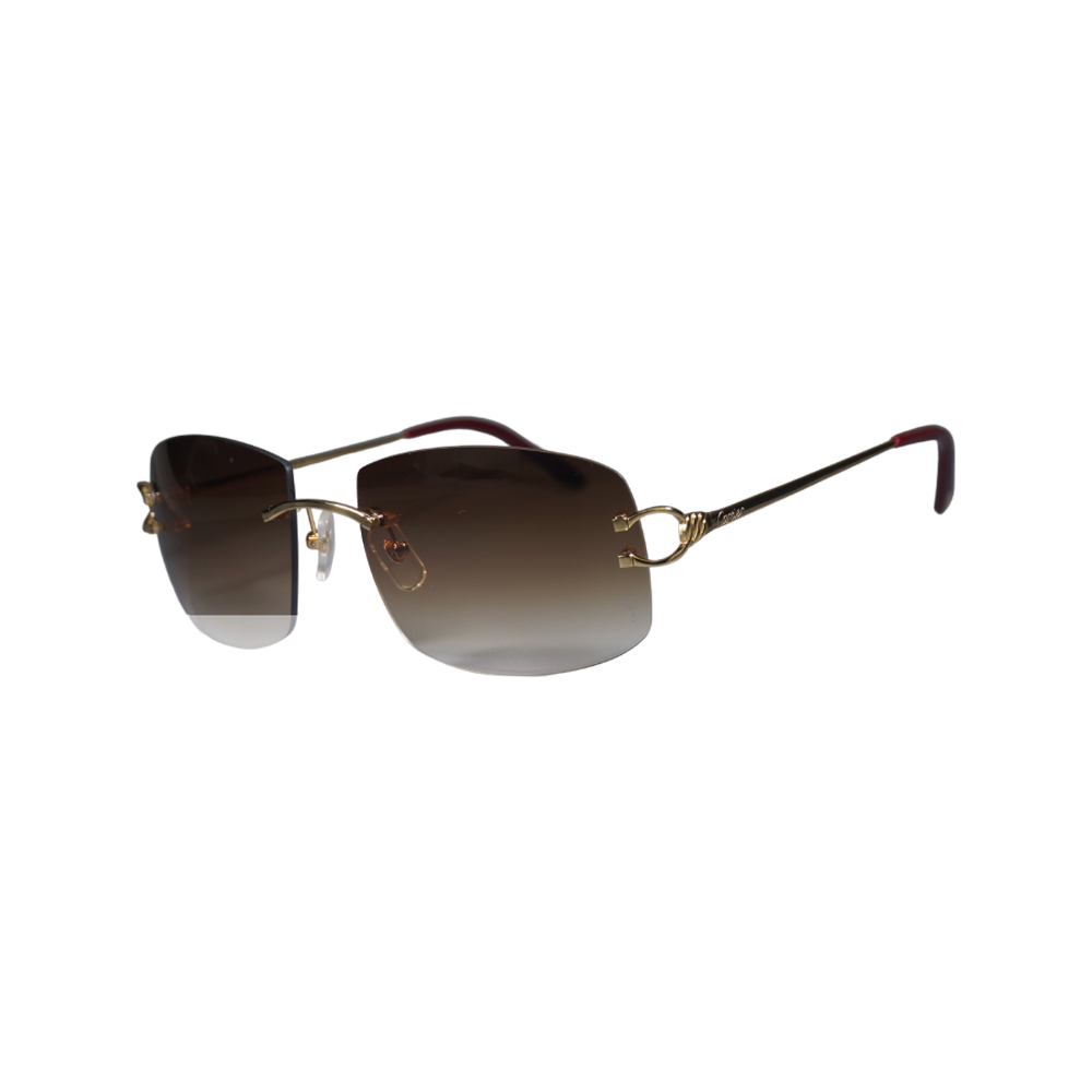 Vision Optik