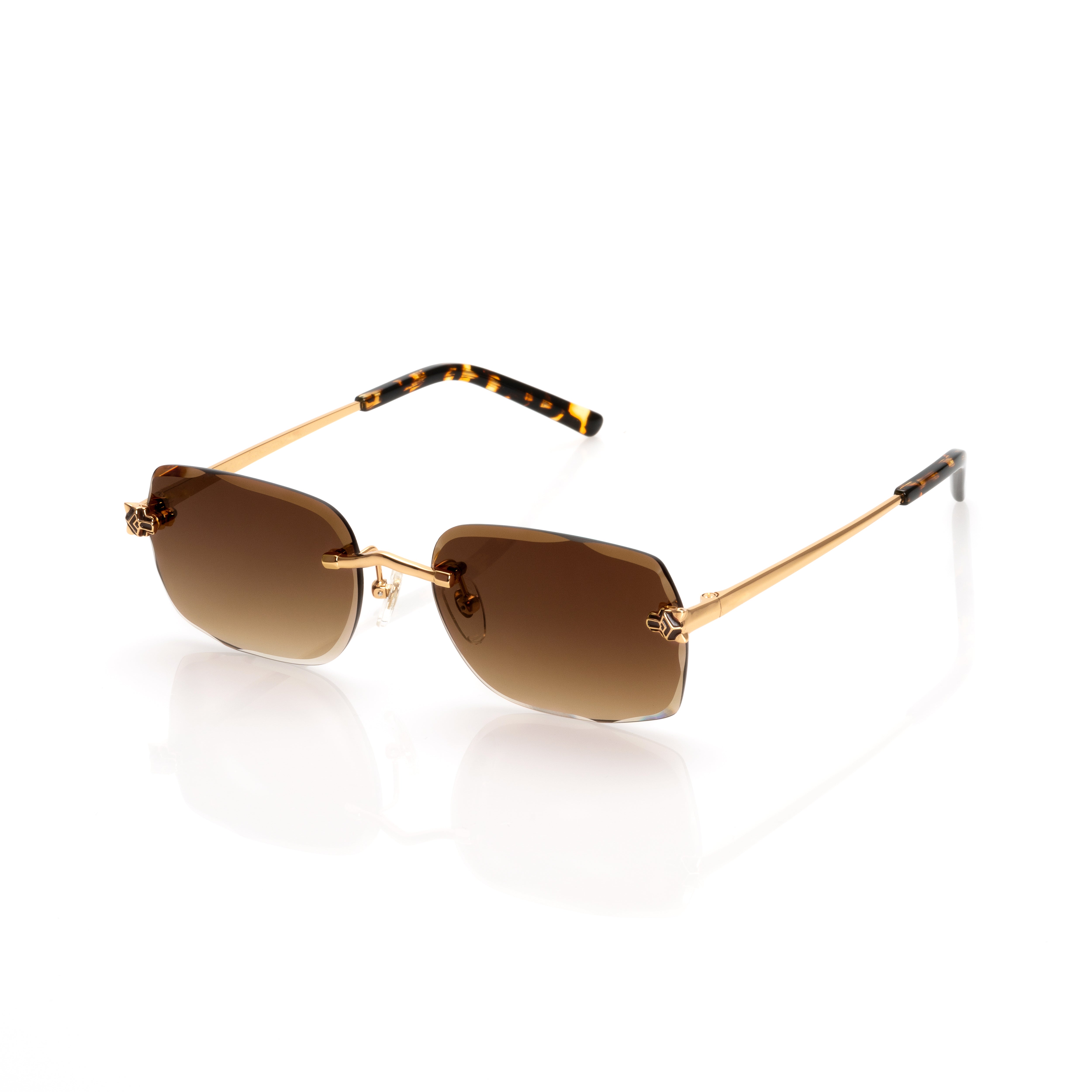 Vision Optik