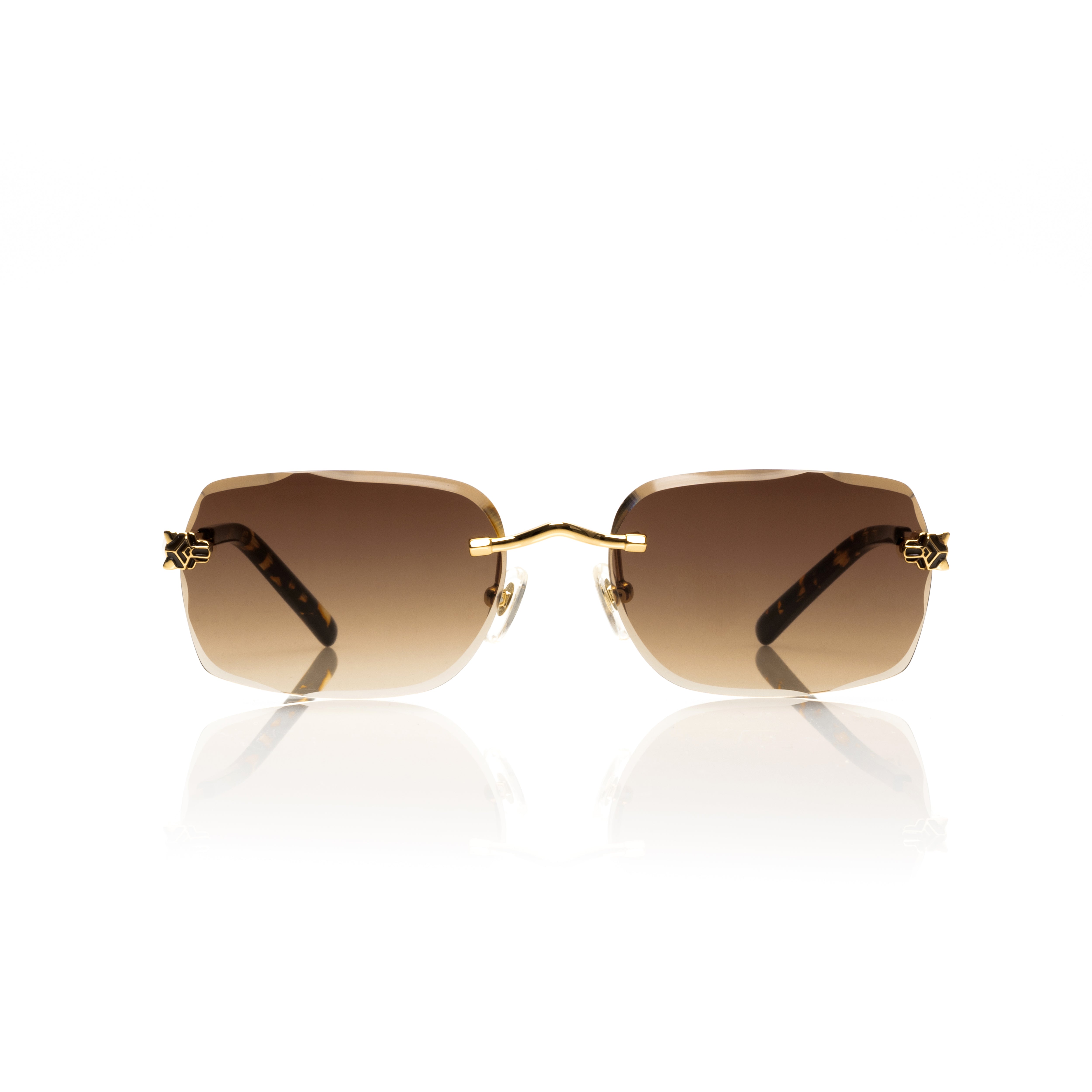 Vision Optik