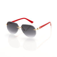 Vision Optik