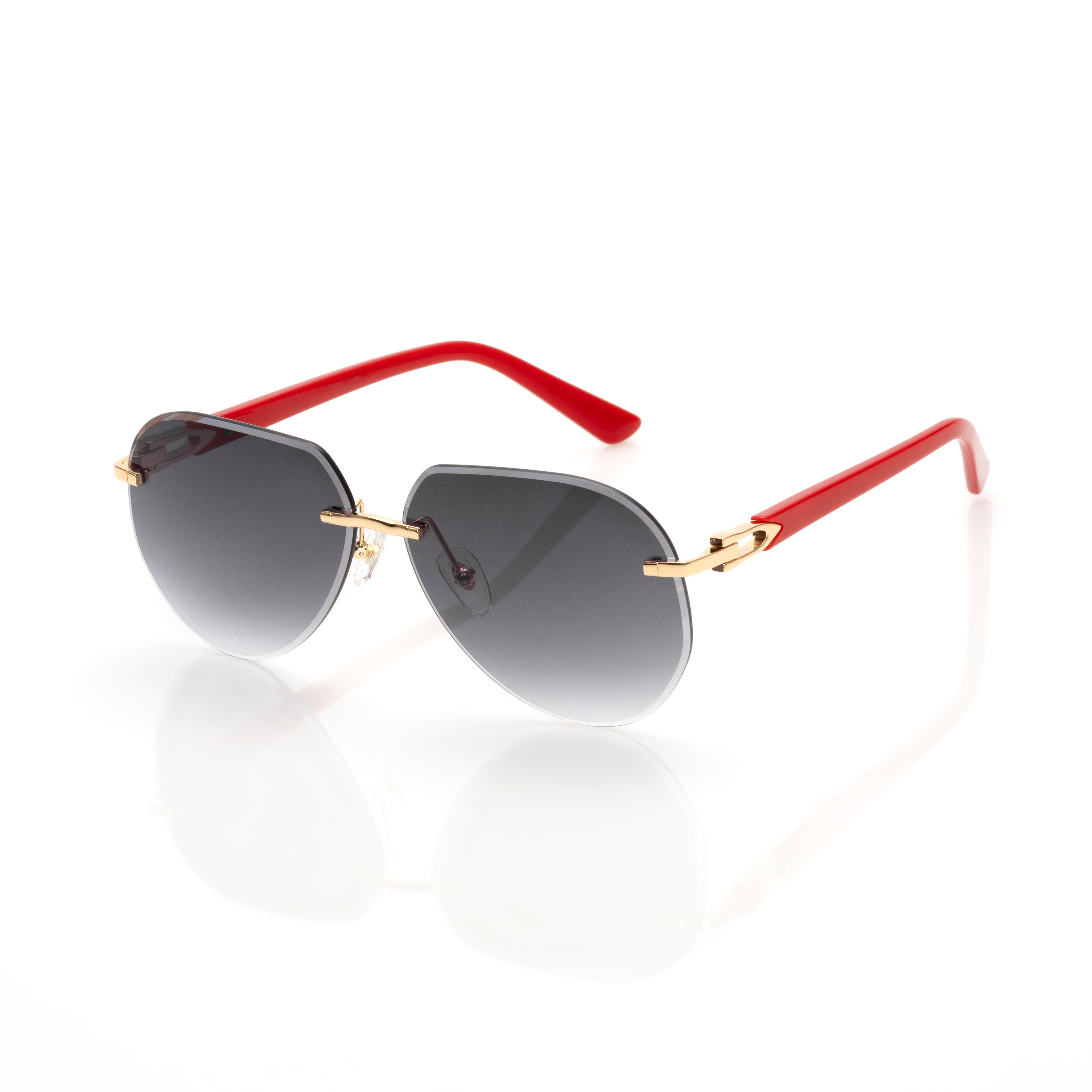 Vision Optik