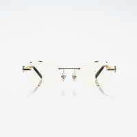 Vision Optik