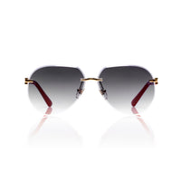Vision Optik