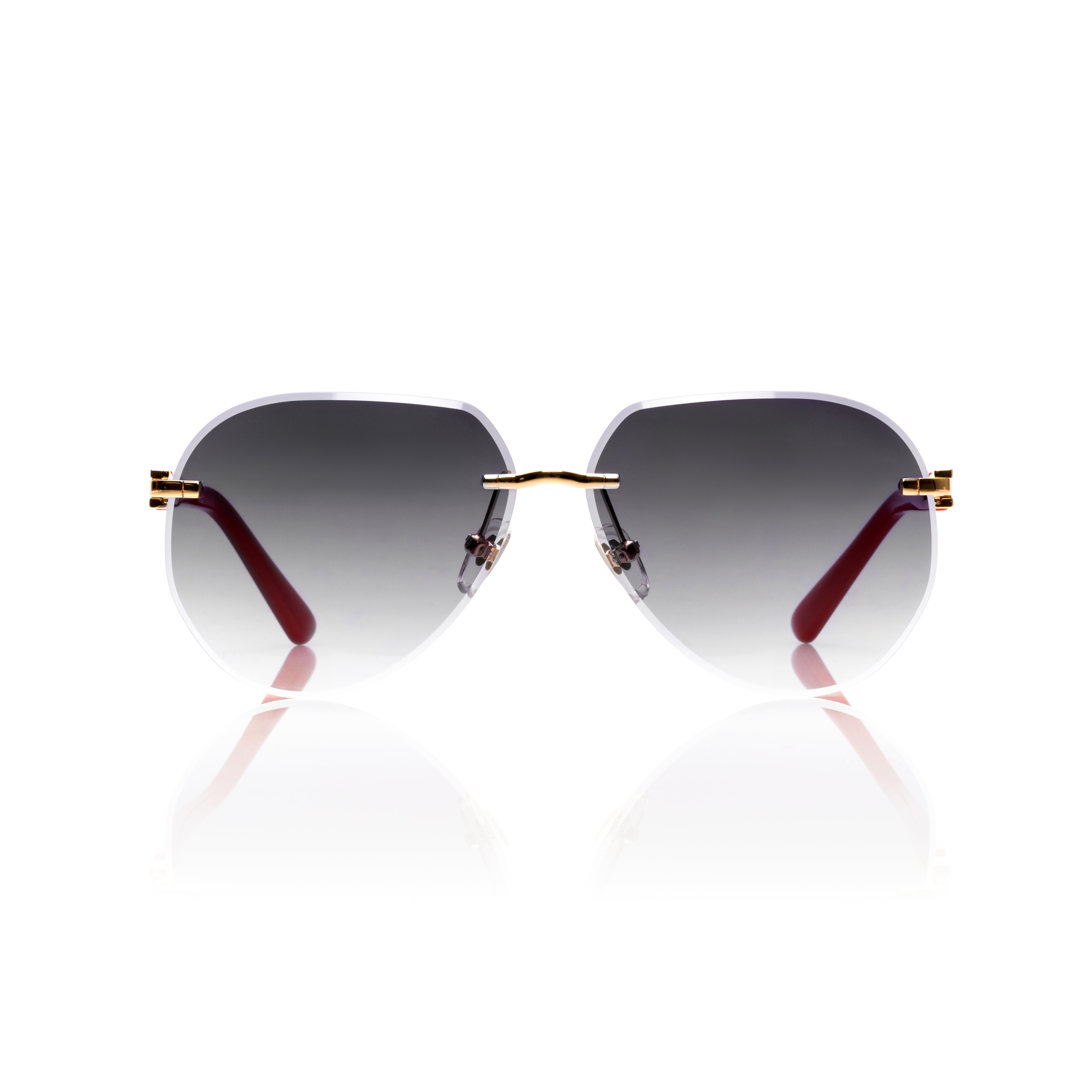 Vision Optik