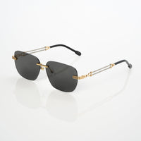 Vision Optik