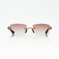 Vision Optik