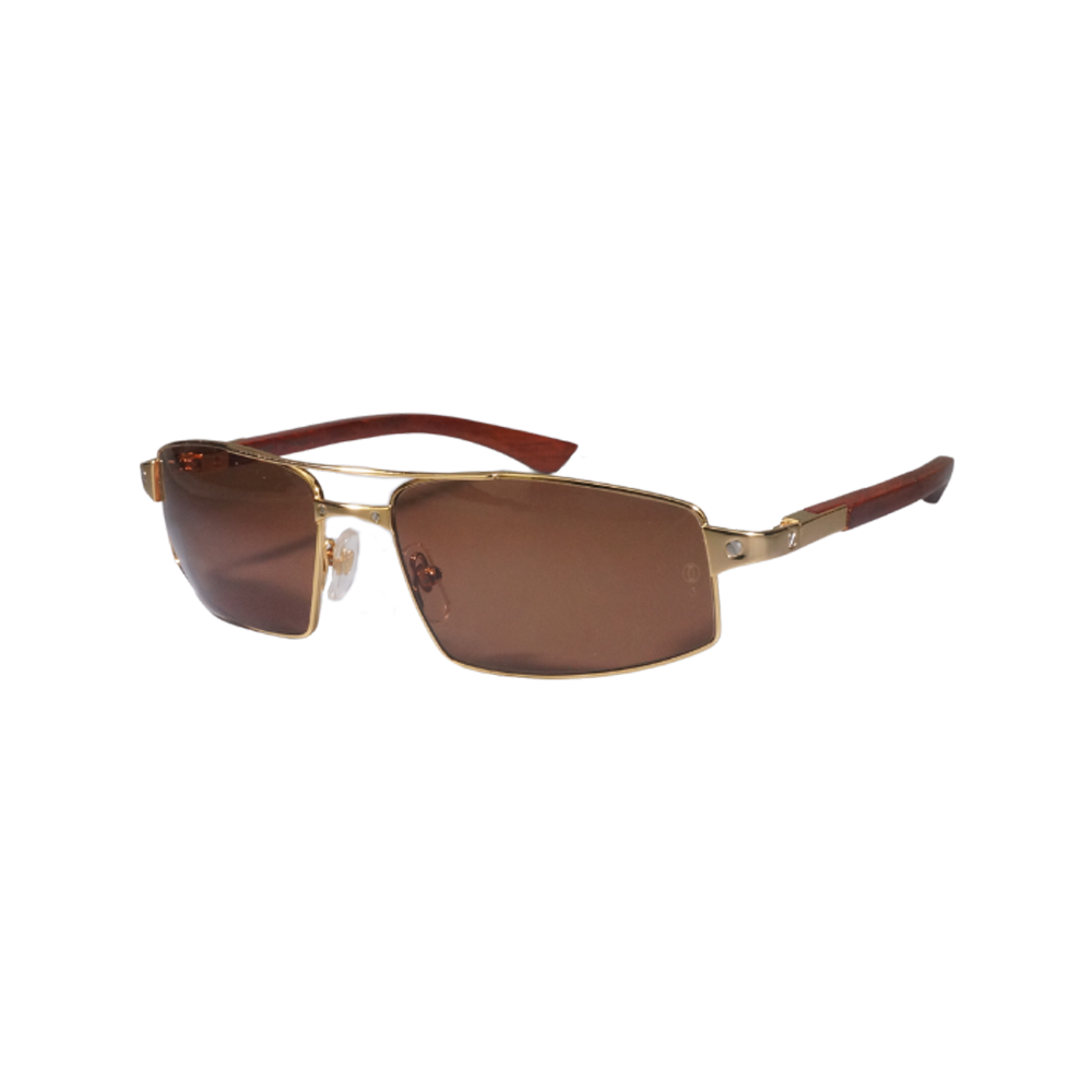 Vision Optik
