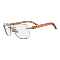 Vision Optik