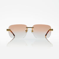 Vision Optik