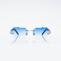 Vision Optik