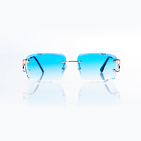 Vision Optik