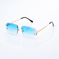 Vision Optik