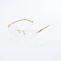 Vision Optik
