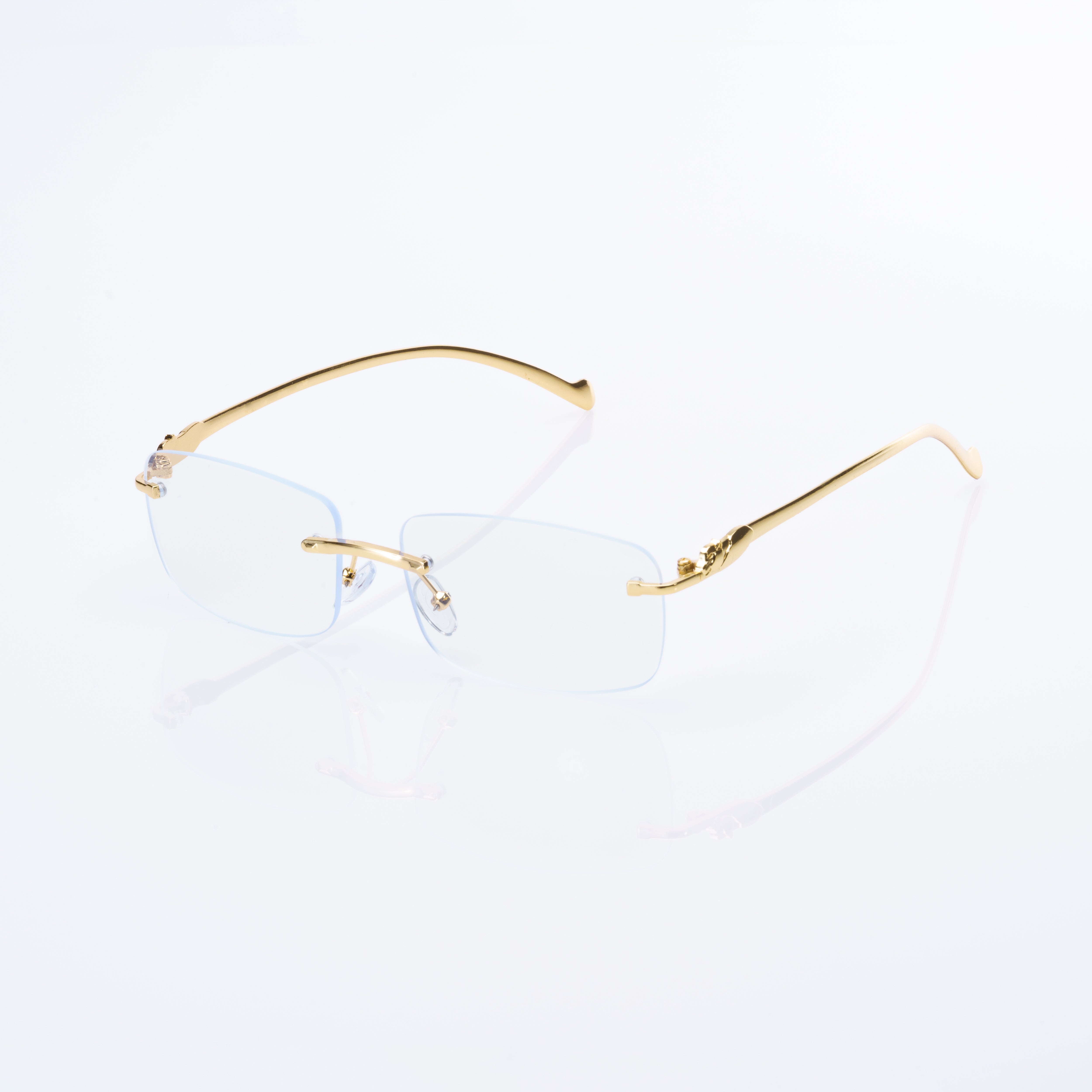 Vision Optik