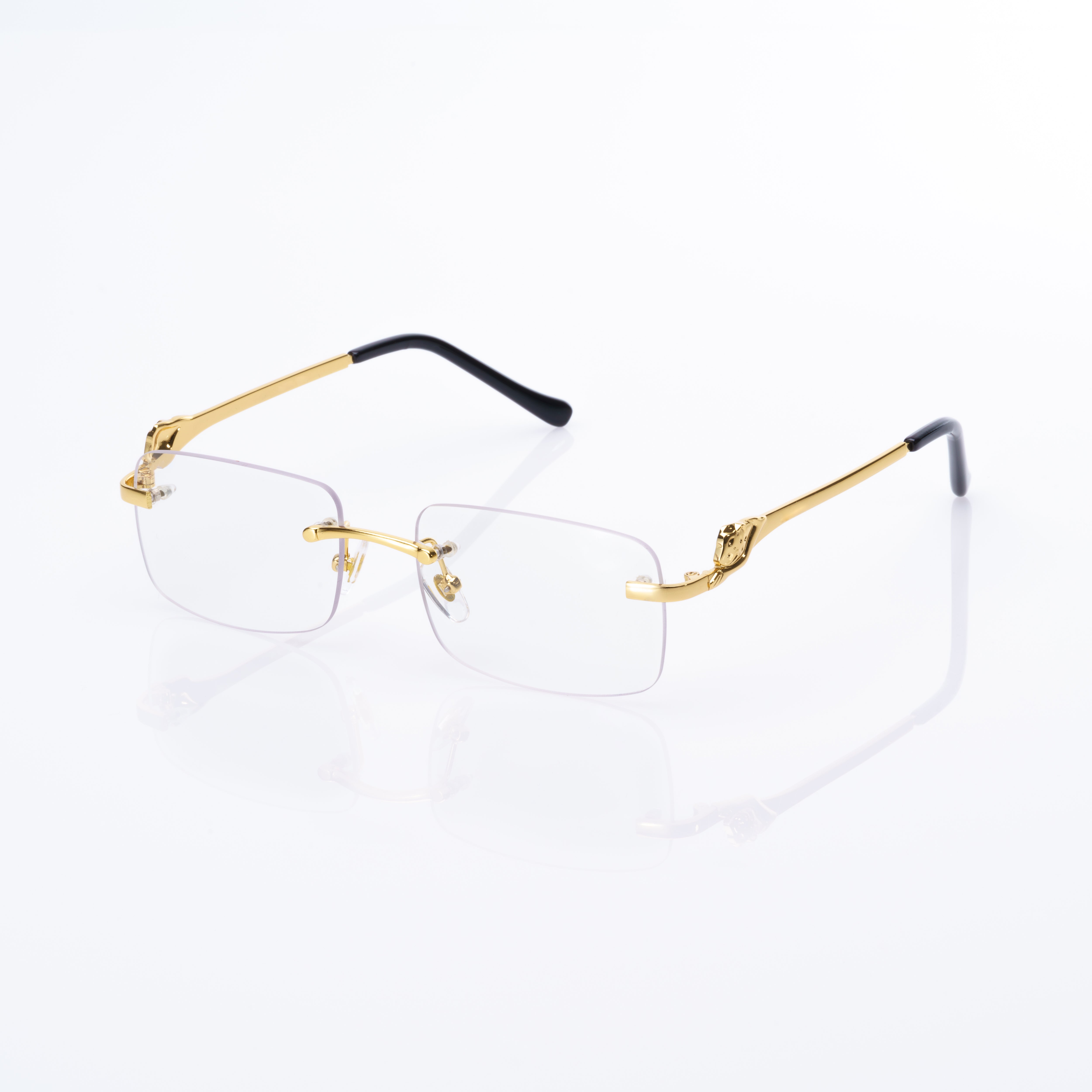 Vision Optik
