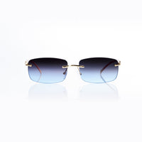 Vision Optik