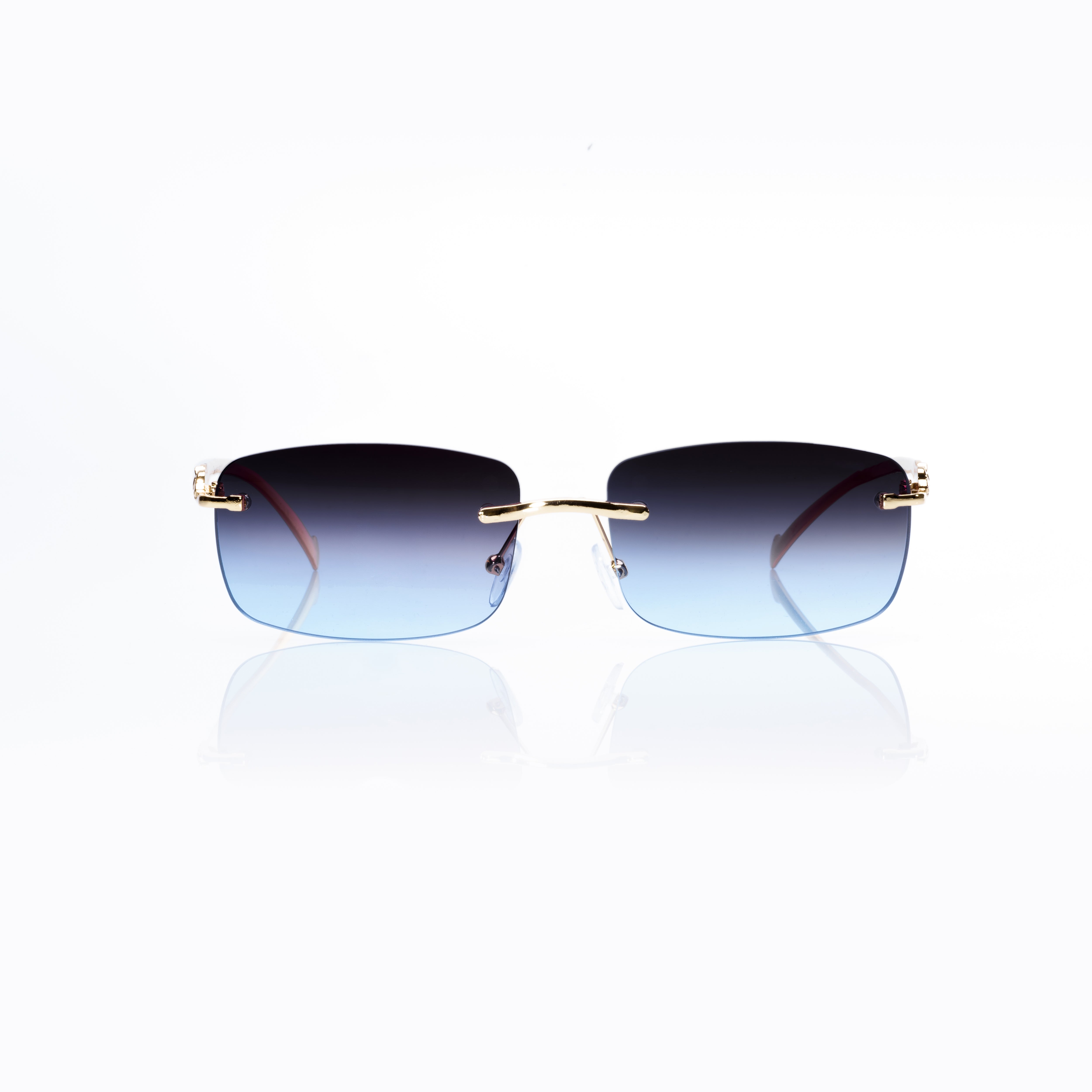 Vision Optik