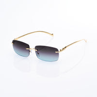 Vision Optik