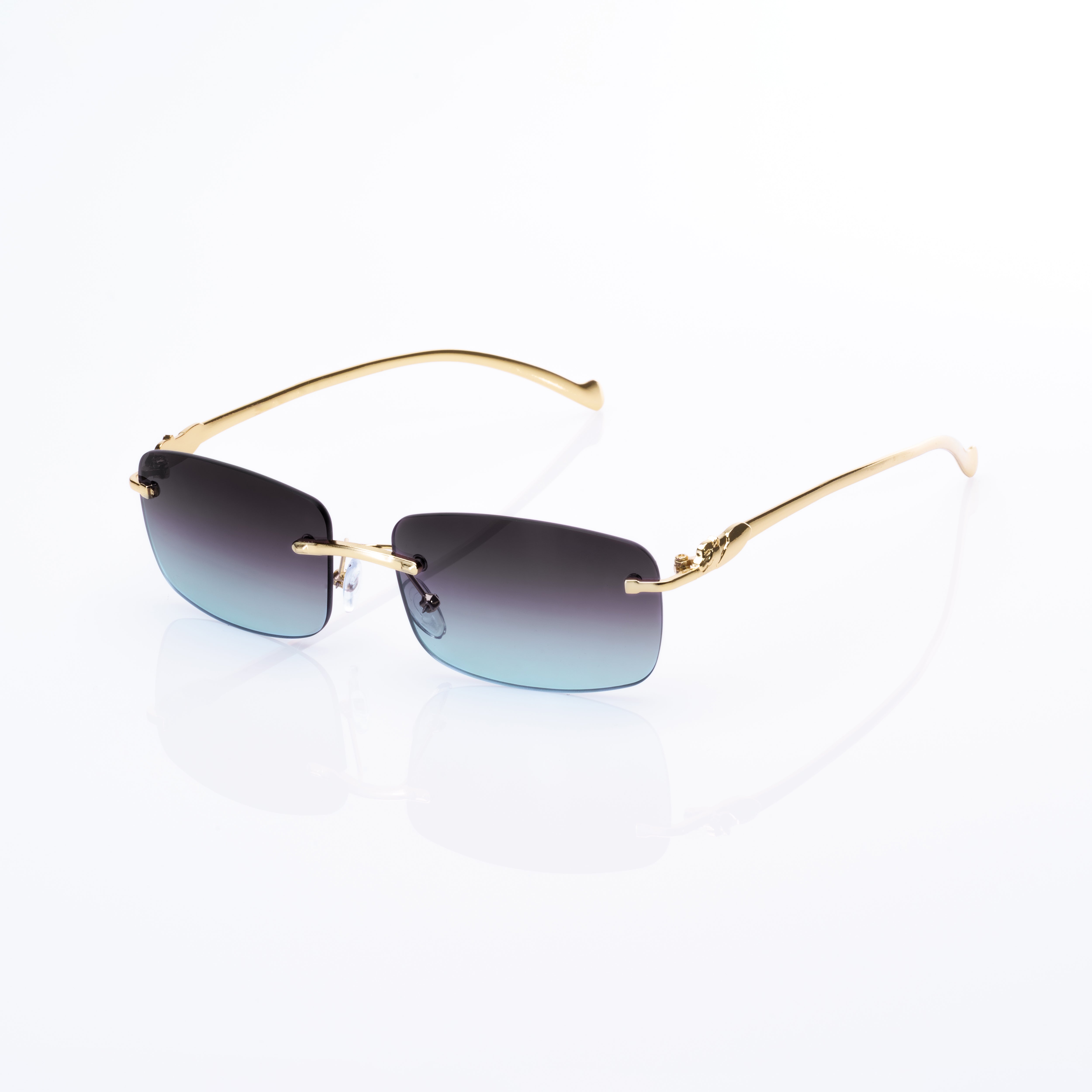 Vision Optik