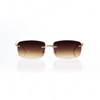 Vision Optik