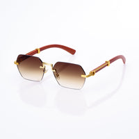Vision Optik