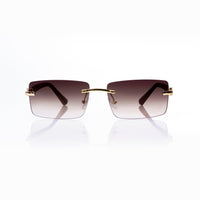 Vision Optik