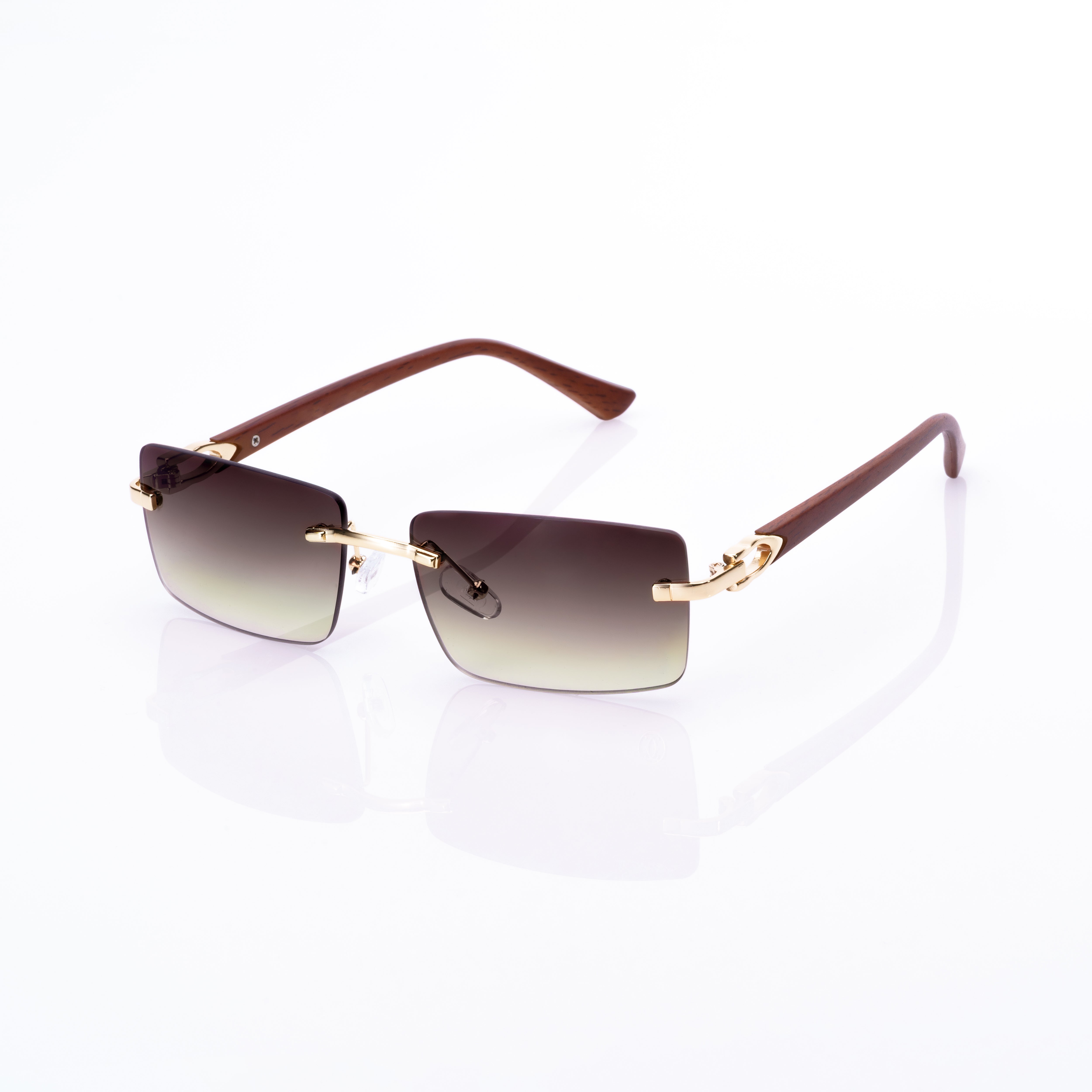 Vision Optik
