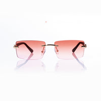 Vision Optik