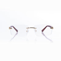 Vision Optik