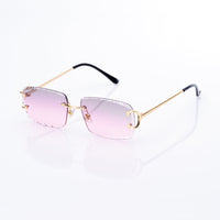 Vision Optik