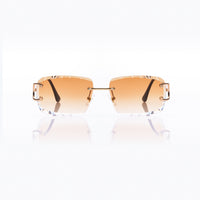Vision Optik