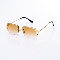Vision Optik