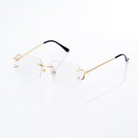 Vision Optik