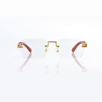 Vision Optik