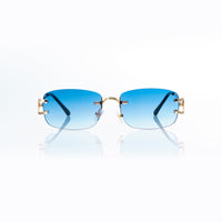 Vision Optik